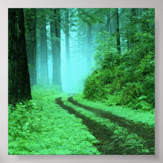 bos poster (Voorkant)