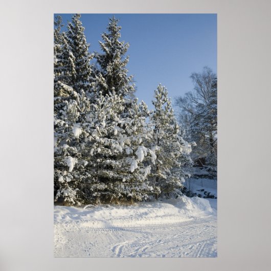 Bos Poster (Voorkant)