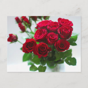 bos rode rozen briefkaart