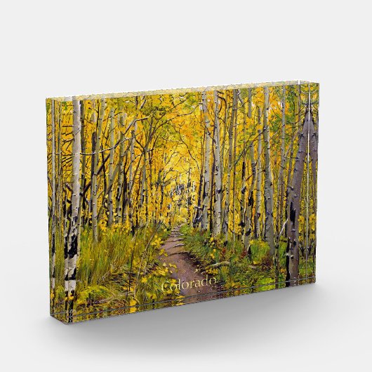 Bos van Aspen Trees Fotoblokken (Links)
