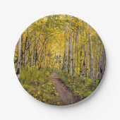 Bos van Aspen Trees Papieren Bordje (Voorkant)