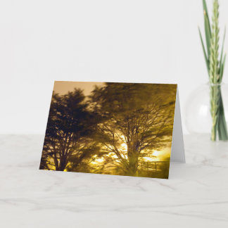 bos van de woede kaart