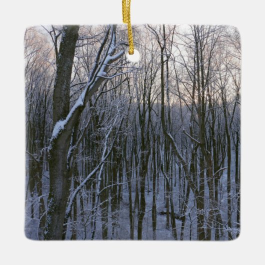 Bos van Snowy Trees Keramisch Ornament (Voorkant)