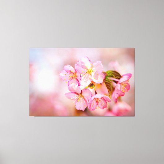 Bos verse roze Sakura-bloemen op roze Canvas Afdruk (Voorkant)