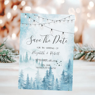 Bos, Woud, Grove, Dennenbomen Lichtjes Save The D Date