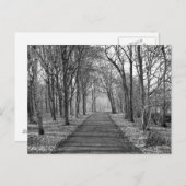 Bos, zwart/wit briefkaart (Voorkant / Achterkant)