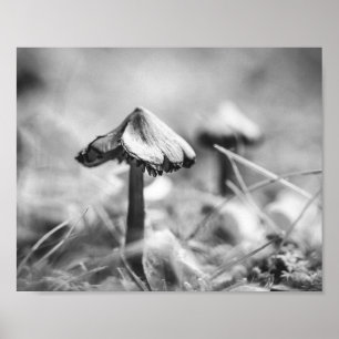 Bosachtige zwart-wit paddenstoel natuur Archival Poster