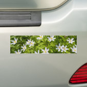 Bosanemoon Bumpersticker (Op auto)