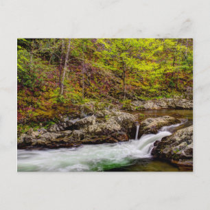 Bosbeek in Great Smoky Mountains Briefkaart