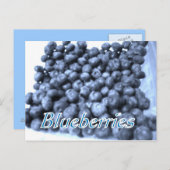 bosbessen briefkaart (Voorkant / Achterkant)