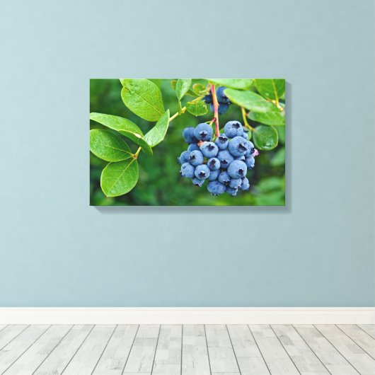 bosbessen op struik canvas afdruk (Insitu (Houten vloer))