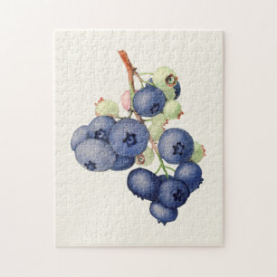 Bosbessen (Vaccinium Corymbosum) Fruit Schilderij Legpuzzel