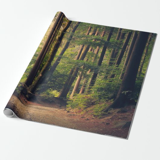 BOSBOMEN CADEAUPAPIER (Uitgerold)