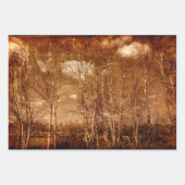 Bosbomen Grunge Rustic Texture Clouds Inpakpapier Vel (Voorkant 3)