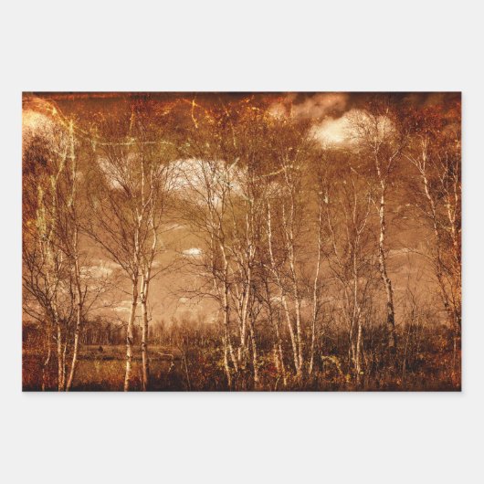 Bosbomen Grunge Rustic Texture Clouds Inpakpapier Vel (Voorkant 2)