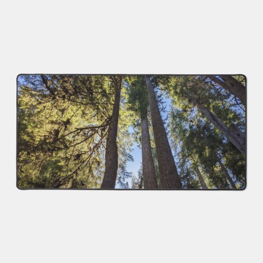 Bosbomen Landschap Bureaumat (Voorkant)