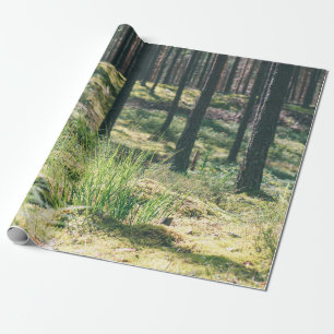 Bosbomen. natuur groene zonlicht cadeaupapier