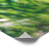 Bosbomen. natuur groene zonlicht poster (Hoek)