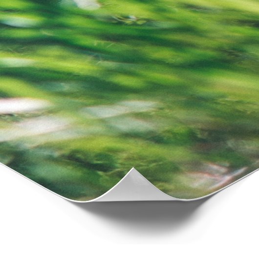 Bosbomen. natuur groene zonlicht poster (Hoek)