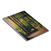 BOSBOMEN NOTITIEBOEK (Rechterzijde)