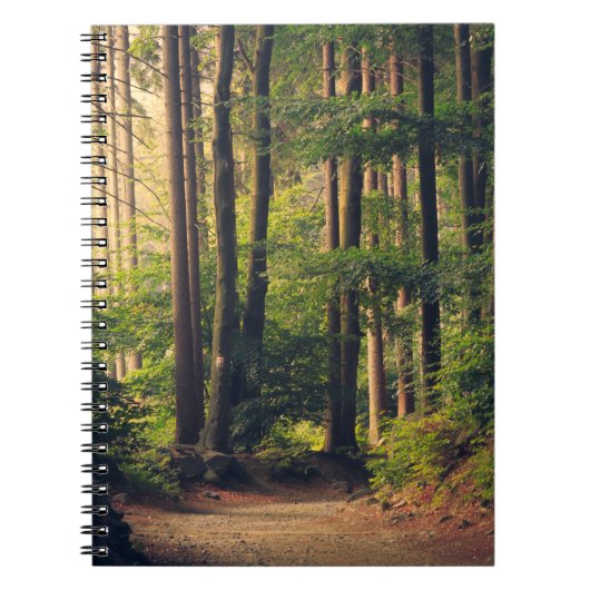 BOSBOMEN NOTITIEBOEK (Voorkant)