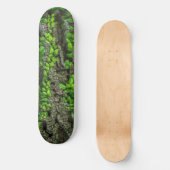 Bosboomschaarplaat Skateboard (Voorkant)