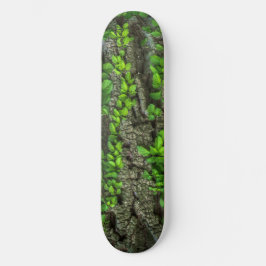 Bosboomschaarplaat Skateboard