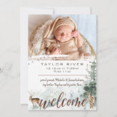 Bosbouwbos Pine Deer Fotoaankondiging Aankondiging (Voorkant)