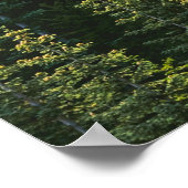 BOSBOUWFOTO POSTER (Hoek)