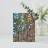 Bosbouwpad Briefkaart (Staand voorkant)