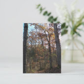 Bosbouwpad Briefkaart (Staand voorkant)