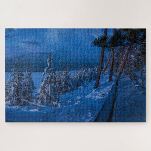 Bosbouwpad in winternacht puzzel