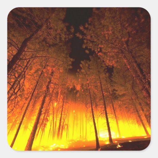 Bosbrand Vierkante Sticker (Voorkant)