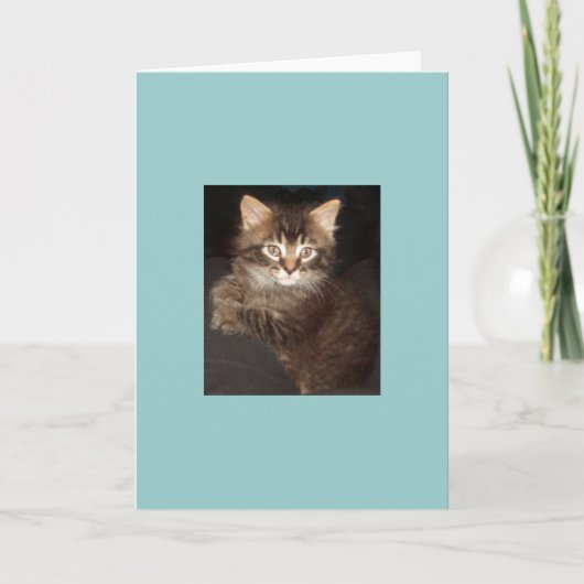 Bosco Kaart (Voorkant)