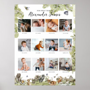 Bosdieren 1e Jaar 12 Foto Collage Maand Poster