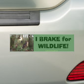 Bosdieren Cadeaus Bumpersticker (Op auto)