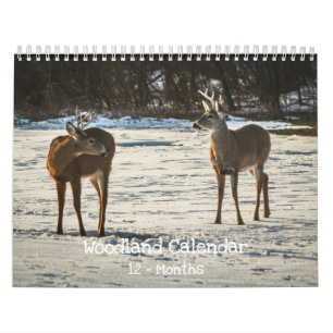 Bosdieren Natuur Kalender