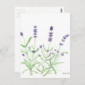 Boseenmansvogel Briefkaart (Voorkant / Achterkant)