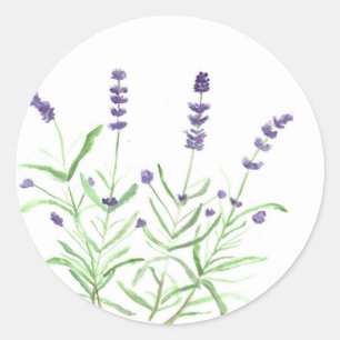 Boseenmansvogel Ronde Sticker