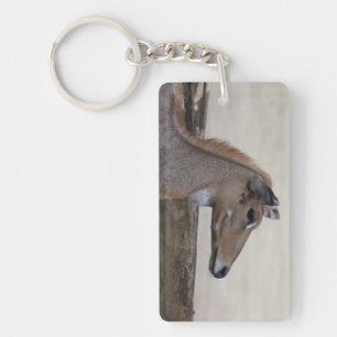 Boselaphus tragocamelus sleutelhanger