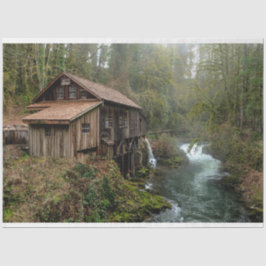 Bosenkool 26-depotpapier tissuepapier