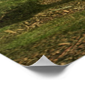 Bosfantasie Poster (Hoek)