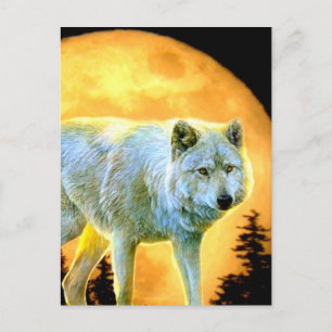 bosgebied moonlight volle maan wolf briefkaart