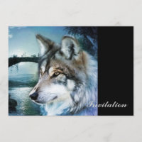 bosgebied moonlight volle maan wolf