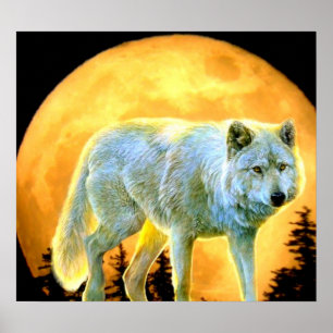bosgebied moonlight volle maan wolf poster