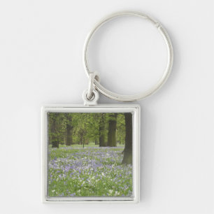 Boshyacinten en eikenbomen in de lente, Little Hag Sleutelhanger