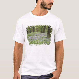Boshyacinten en eikenbomen in de lente, Little Hag T-shirt