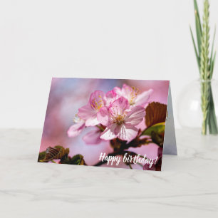Bosje Stunning Sakurabloemen Met Roze Kleuren Kaart