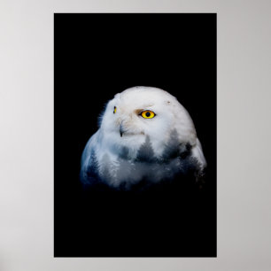 boskoningin poster