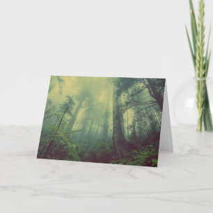 Bosland van onder kaart